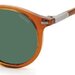 Ochelari de soare Polaroid Unisex Rotunzi PLD 2116/S